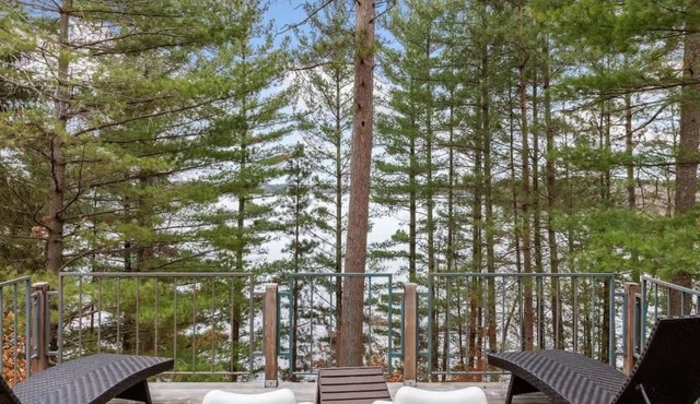 Triangle in the Woods