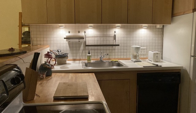 Tribeca Live/Work Downtown Vacation Loft Apt