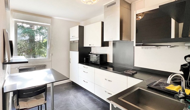 Trinational Stopover - close to 3 CH/DE/FR borders, Airport