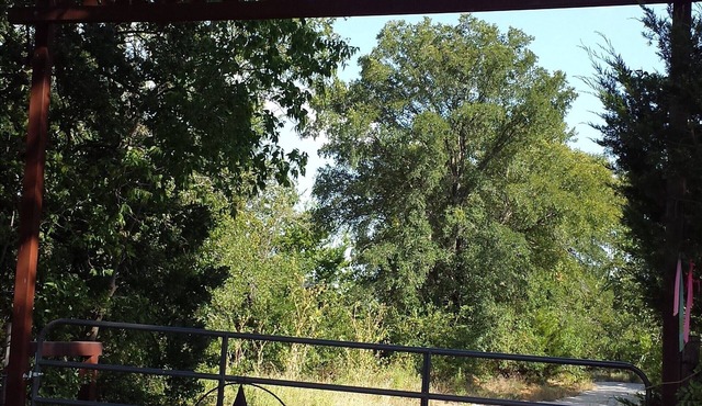 Trinity Trails: New,Secluded,Quiet,Small Cabin Short Trail Walk to Lake Aquilla