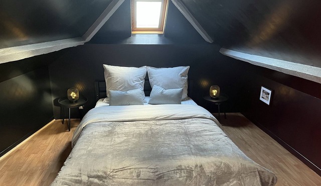 Triplex Carnot - Independent access - Netflix