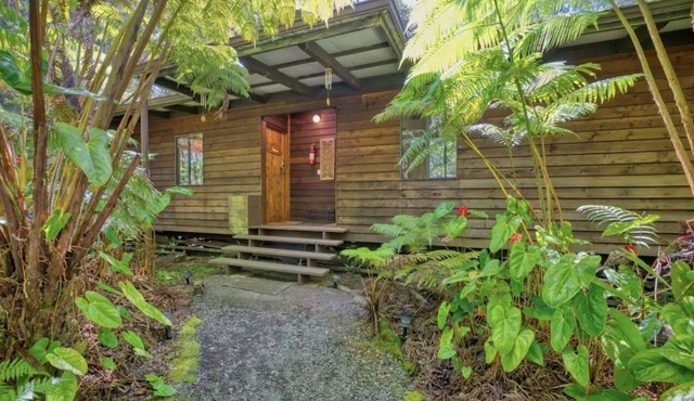 Tropical 1-bedroom cabin. Five minute drive to Hawaii Volcanoes National Park.