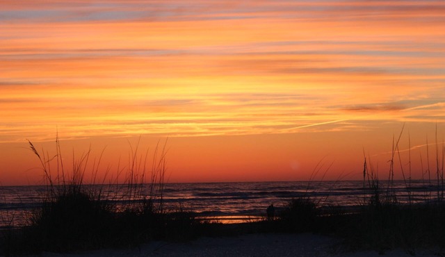 Tropical Anna Maria Island Villa
