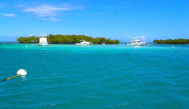 Tropical Beach House - Combate, Cabo Rojo PR