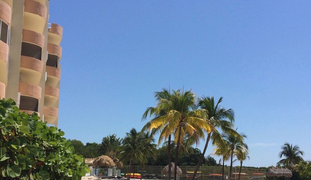 Tropical Condo On The Ocean 1 BR/1 BA