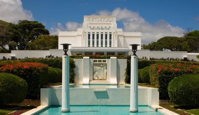 Tropical Cottage - Great Snorkeling