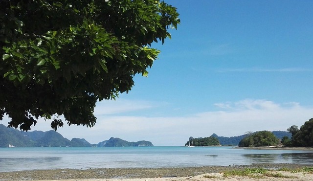 Tropical Eco Camping