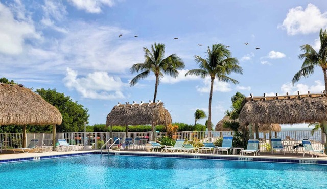 Tropical Escape | Sea Gulls 407 ~ Weekly Rental