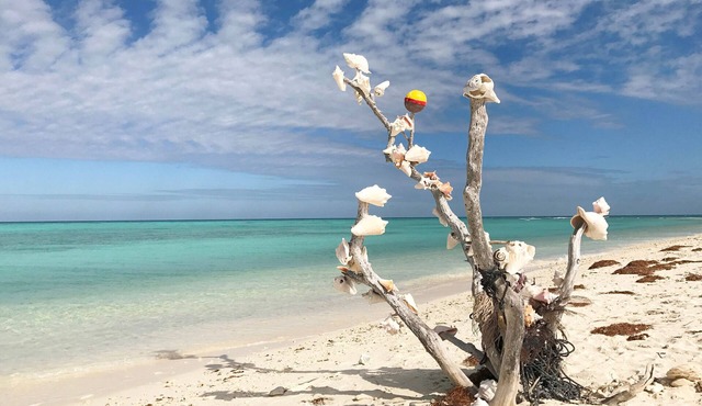 Tropical Escape with Central Locale, Private Hot Tub, WiFi, and Shared Pool