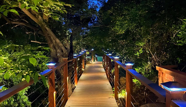 Tropical Hideaway 15 minutes from downtown and beaches!