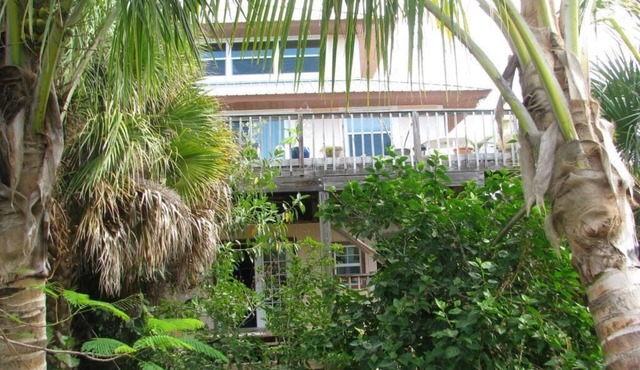 Tropical Home nestled among the coconuts