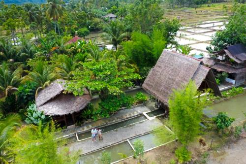 Tropical Jungle lodge & Jungle trekking