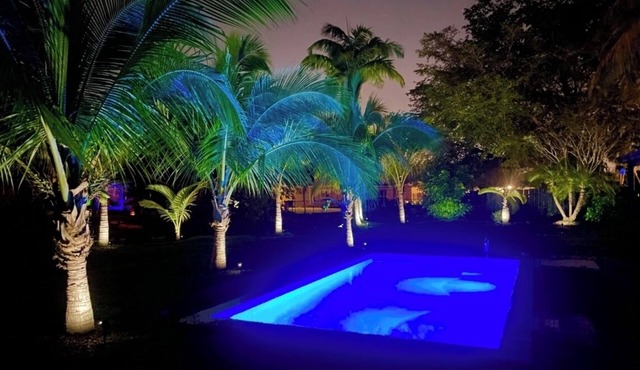 Tropical Miami Waterfront