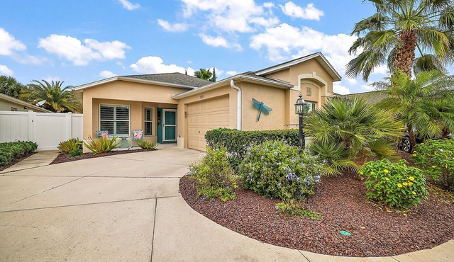 Tropical Oasis in Pennecamp