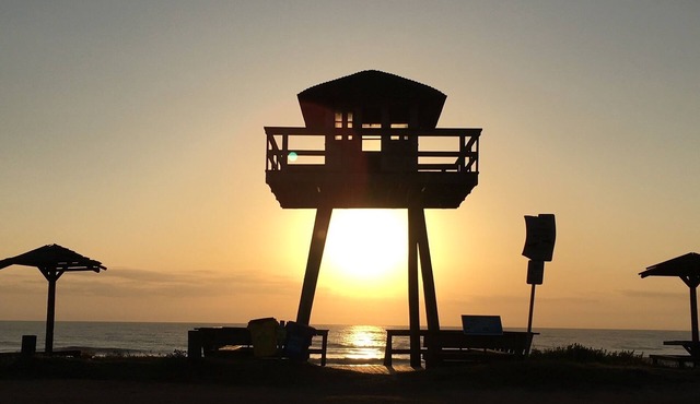 Tropical Oasis just steps from the beautiful Atlantic Ocean!