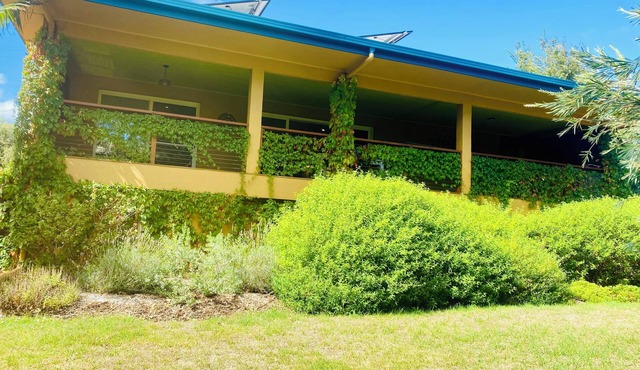 Tropical oasis/pet friendly. Golf, hot springs, beach nearby. Large games room.