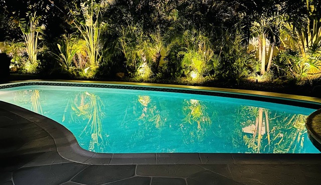 Tropical Paradise in Lighthouse