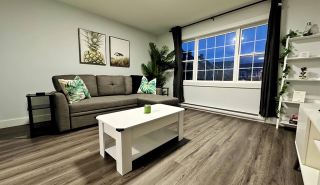 Tropical Paradise Oasis in St. John's, NL