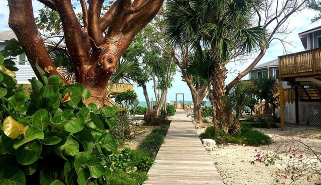 Tropical Paradise