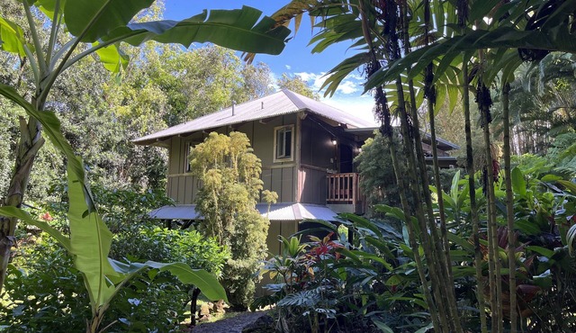 Tropical Romance. Lush Gardens. in Heavenly Hana, Maui