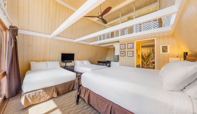 Tropical studio in oceanfront resort w/pool, WiFi, & kitchenette - snowbirds OK