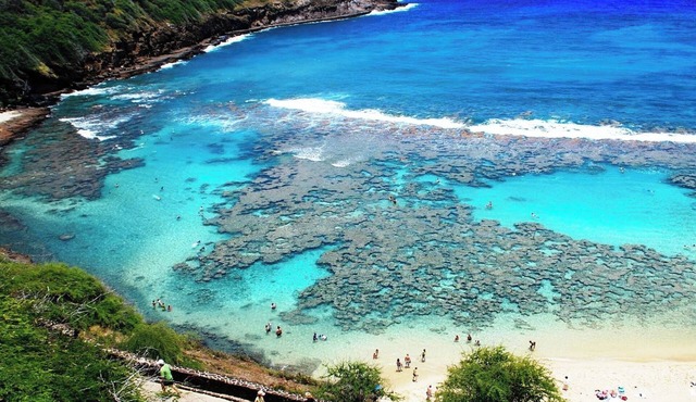 Tropical Tranquility - Water Views!