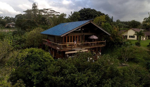 Tropical Tree House-Style Loft Rental with Ocean Views in Haiku, Hawaii