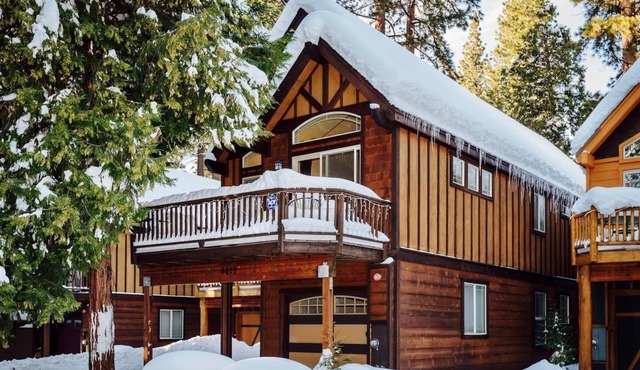 Trout and About | Heaven for Skiing & Snowboarding
