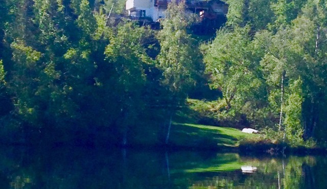 Trout Fishing Lake Front- Mt. Views- Fish, Boat, Hike, Play, Swim, sleeps 8
