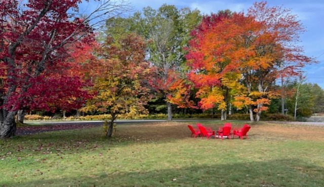 Trout Lake-Summer/Fall/Winter- UP near Mackinaw City/Beautiful Landmarks
