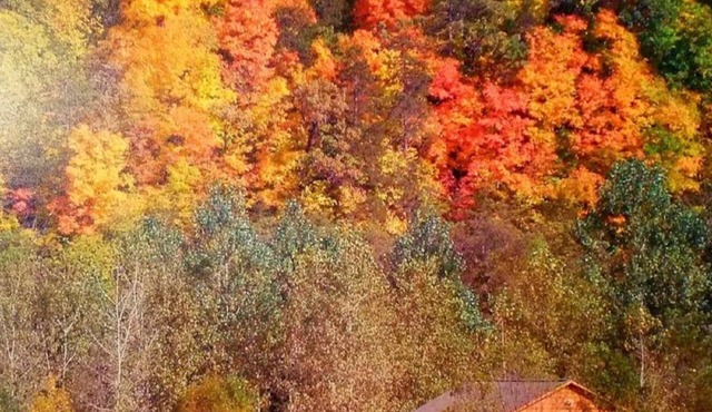 Trout Lodge w/Hot Tub and Trout Stream