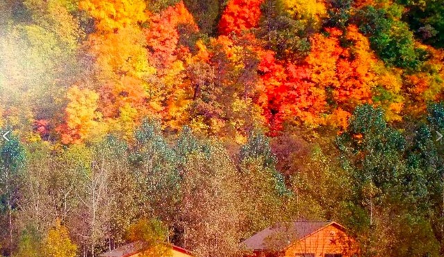 Trout Lodge with Hot Tub Jacuzzi