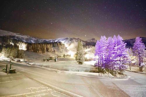 True Ski in out Large 2 bdrm Mtn Views 4 beds