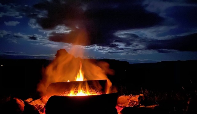 Truffle Experience Awaits - Capertee Valley