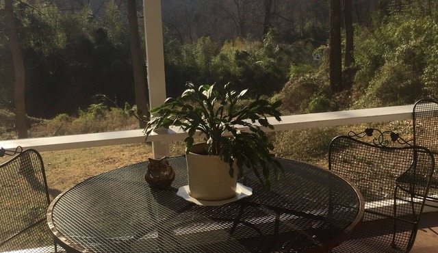 Tryon Love 2 min walk to downtown. Wood fireplace. Monthly rentals only.
