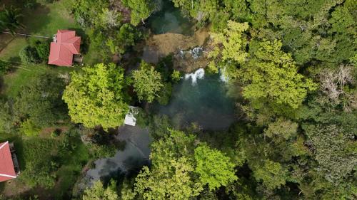 Tu Casa en la Selva Lacandona