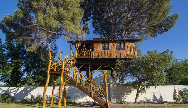 Tubac Treehouse - built by the Treehouse Guys, LLC.