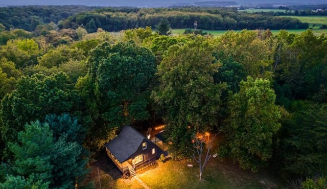 Tuck's Starry Night cabin, Hot tub, Outdoor movies