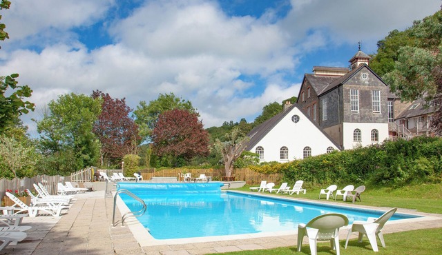 Tuckenhay, Mill Spring - FMF