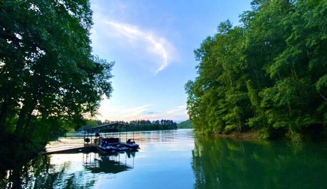 Tugaloo Tuck-In on Lake Hartwell, PRIVATE COVE, covered dock, huge yard firepit!