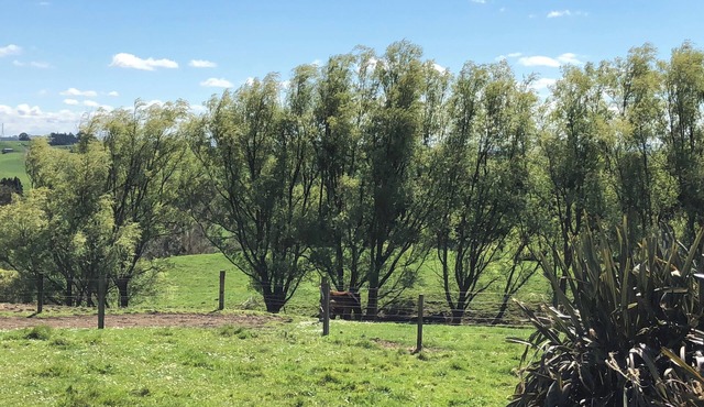 Tui Cottage, a Country Retreat