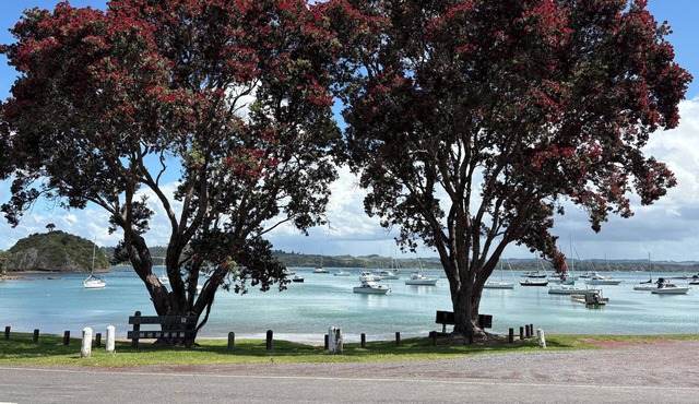 Tuis nest, family beach bach at Opito bay