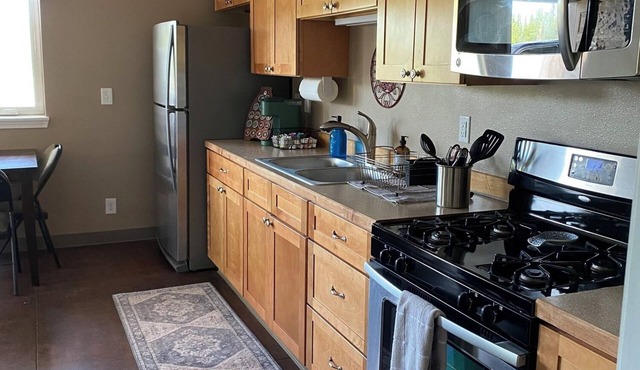 Tundra Apt #1-Modern Comfort in the Last Frontier (For families or casual travelers)