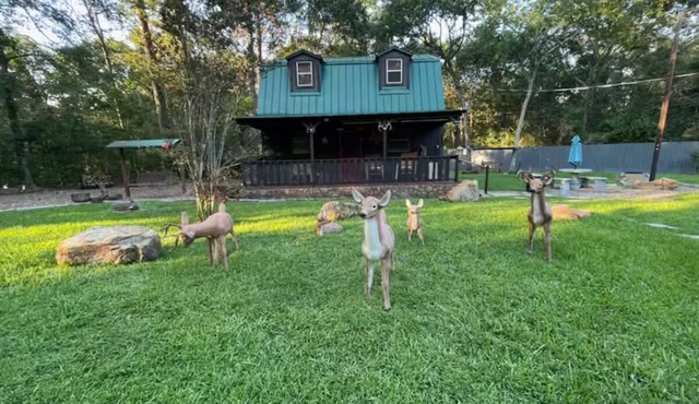 Turkey Creek Cabin