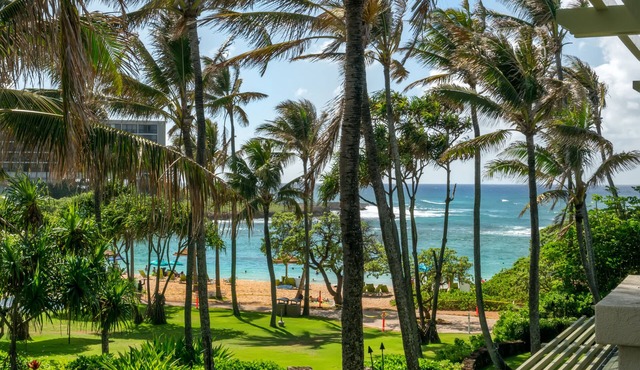 Turtle Bay Oceanview Beachfront 3 Bedroom Villa #314