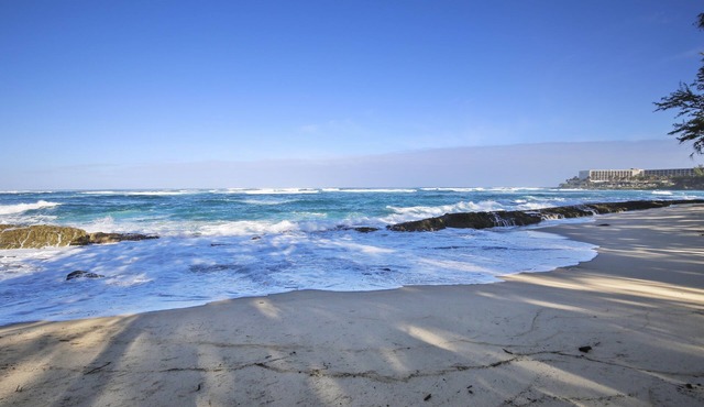 Turtle Bay Paniolo*ta-202779033601 2 Bedroom Condo by RedAwning