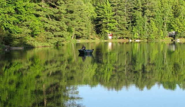 Turtle Cove on Town Lake: Paddle, Fish & Relax – Your Perfect Summer Getaway!