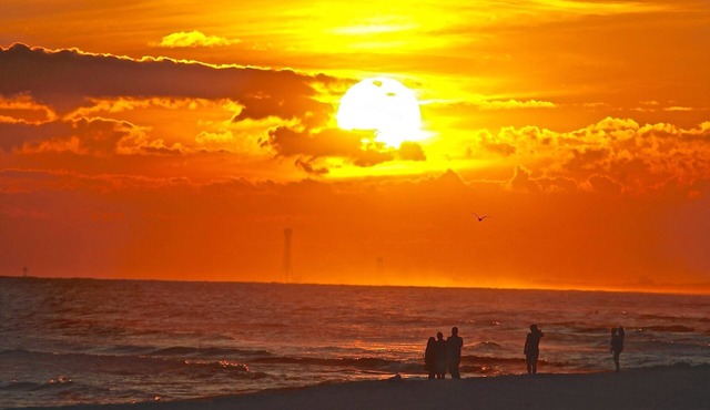 TURTLE WALK 3 BDR GULF FRONT Spring and Summer 2026 Booking up Fast