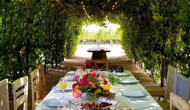 Tuscan villa nestled in the vineyard - Villa Riposo