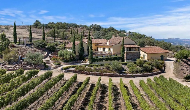 Tuscan Villa w/Vineyard Views!